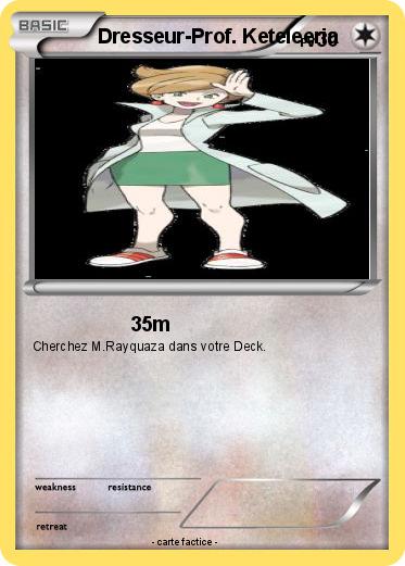 Pokemon Dresseur-Prof. Keteleeria