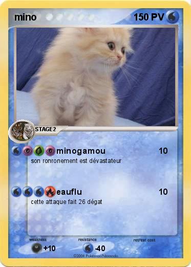 Pokemon mino
