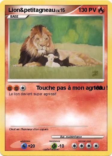 Pokemon Lion&petitagneau