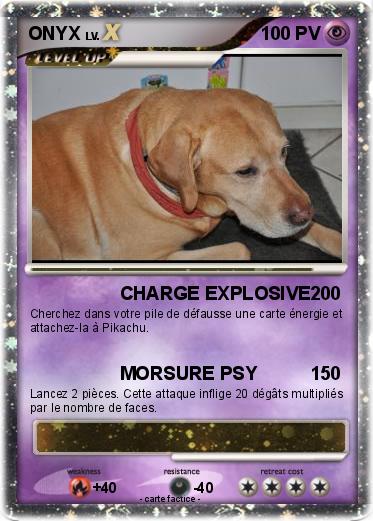 Pokemon ONYX