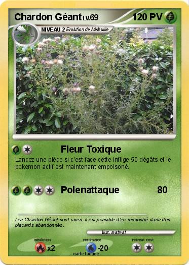 Pokemon Chardon Géant