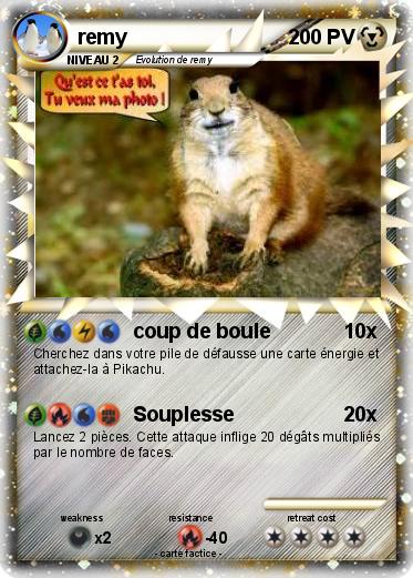 Pokemon remy