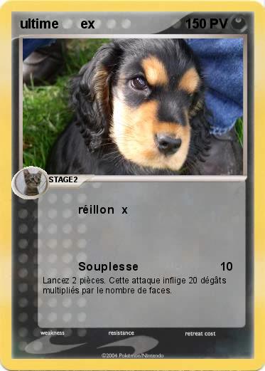Pokemon ultime      ex                                                     10000