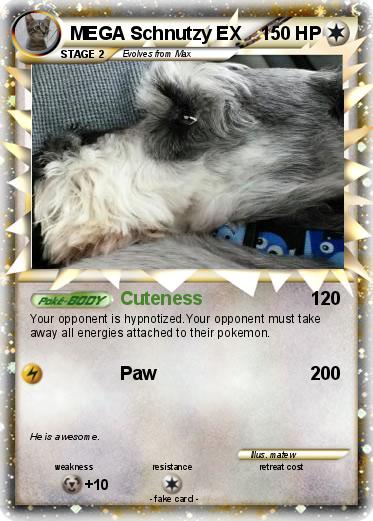 Pokemon MEGA Schnutzy EX