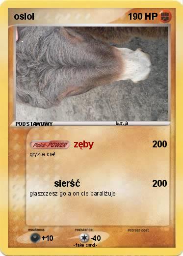 Pokemon osioł