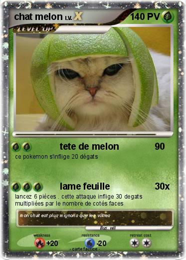 Pokemon chat melon