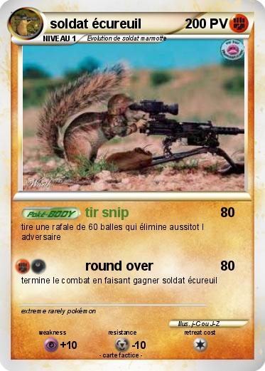 Pokemon soldat écureuil