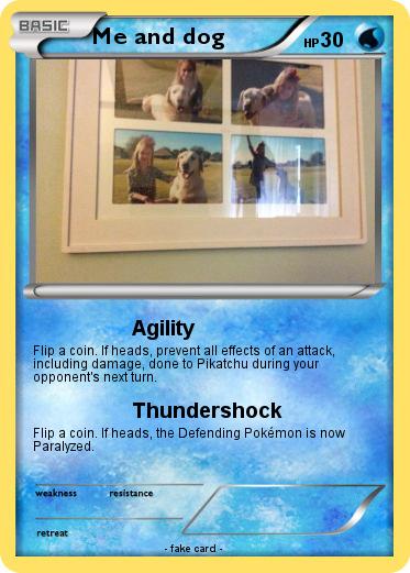 Pokemon Me and dog