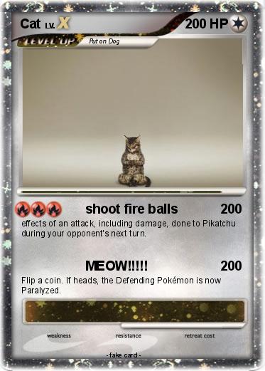 Pokemon Cat