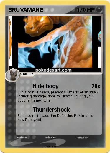 Pokemon BRUVAMANE