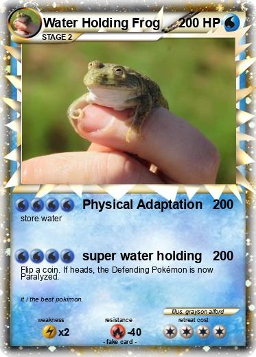 Pokemon Water Holding Frog