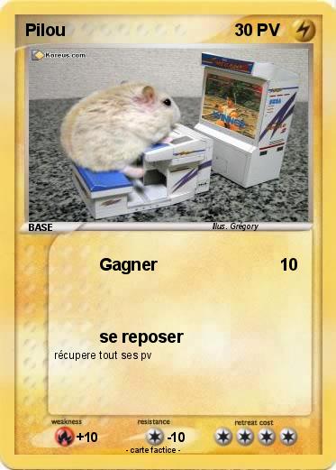 Pokemon Pilou