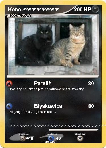 Pokemon Koty