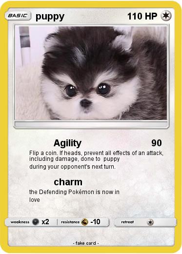 Pokemon puppy