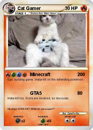 Pokemon Cat Gamer