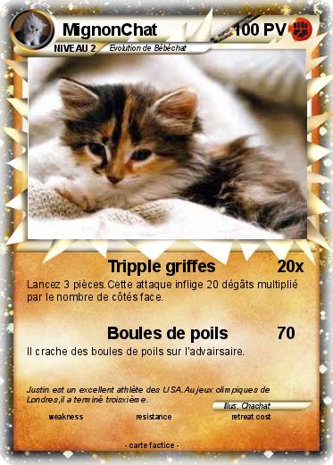 Pokemon MignonChat