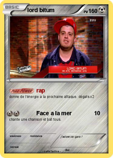 Pokemon lord bitum