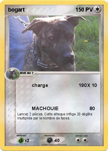 Pokemon bogart