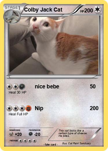 Pokemon Colby Jack Cat