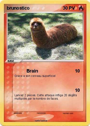 Pokemon brunostico