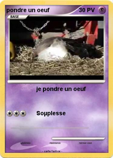 Pokemon pondre un oeuf