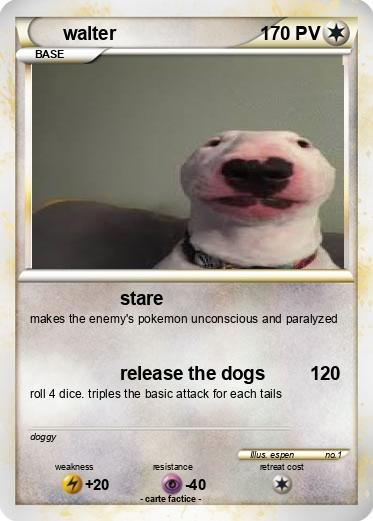 Pokemon walter