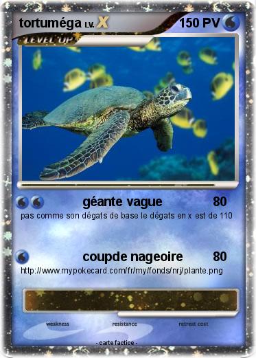 Pokemon tortuméga