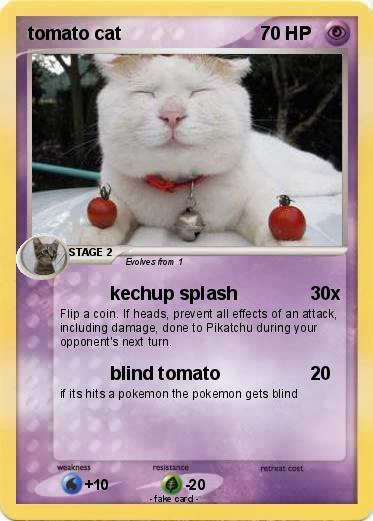 Pokemon tomato cat