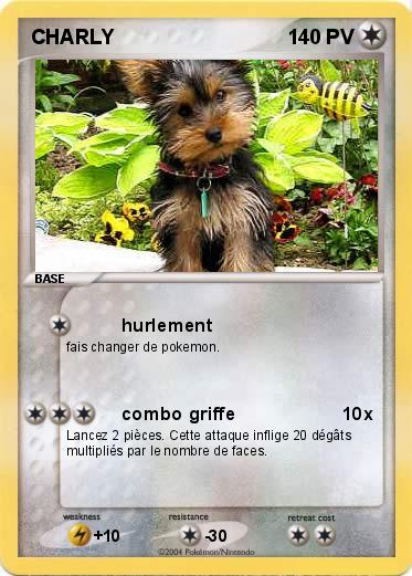 Pokemon CHARLY