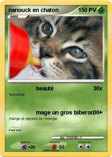 Pokemon nanouck en chaton