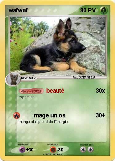 Pokemon wafwaf