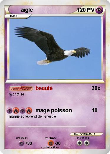 Pokemon aigle