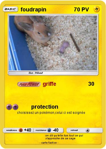 Pokemon foudrapin