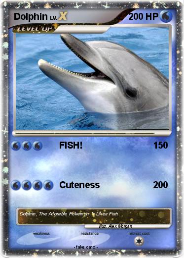 Pokemon Dolphin