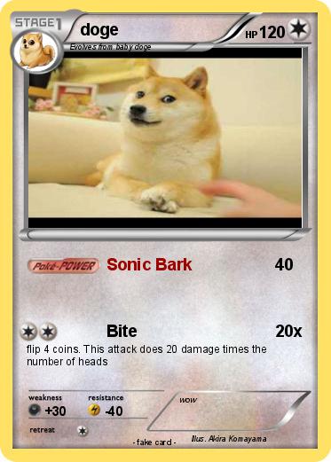 Pokemon doge