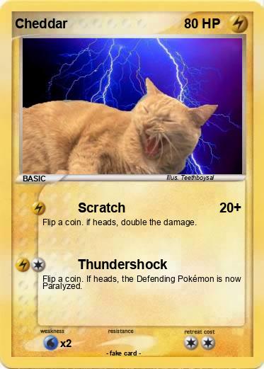Pokemon Cheddar