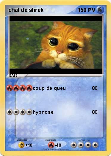 Pokemon chat de shrek