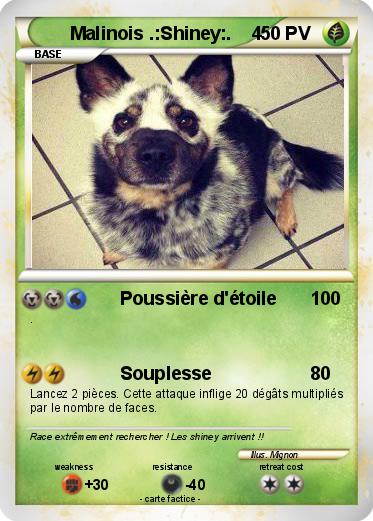 Pokemon Malinois .:Shiney:.    4