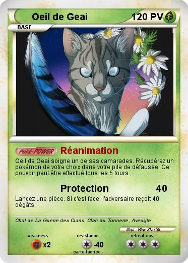 Pokemon Oeil de Geai