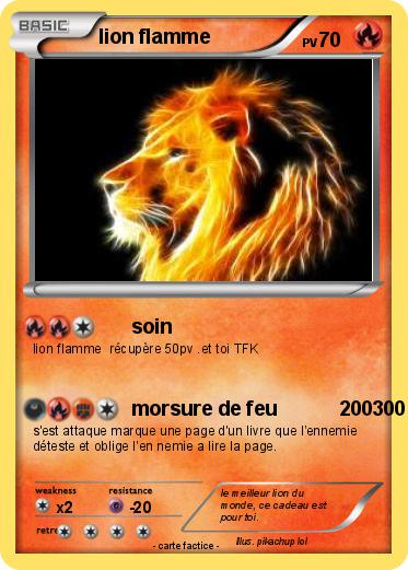Pokemon lion flamme