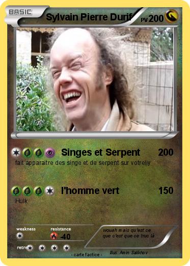 Pokemon Sylvain Pierre Durif