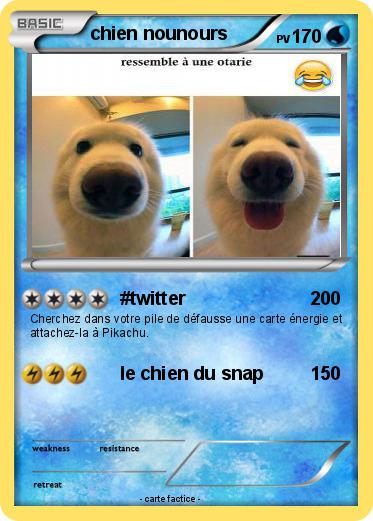 Pokemon chien nounours