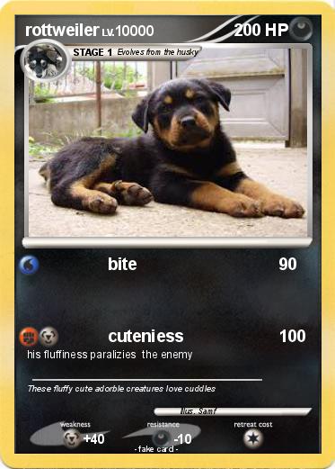 Pokemon rottweiler