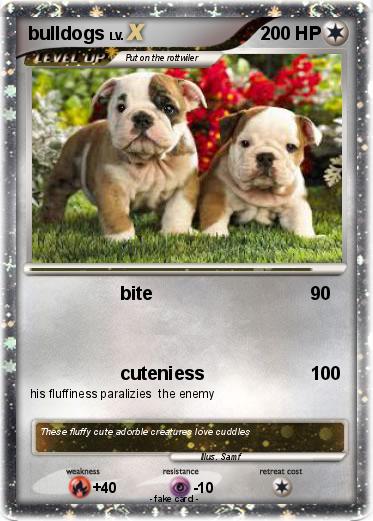 Pokemon bulldogs