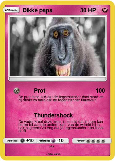 Pokemon Dikke papa