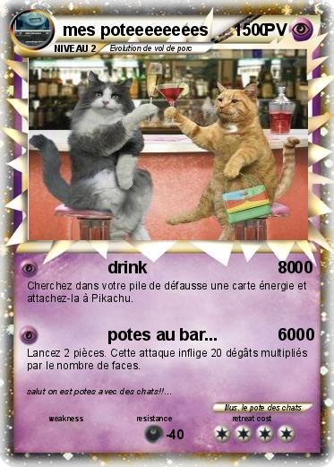 Pokemon mes poteeeeeeees           0