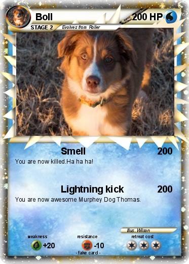 Pokemon Boll