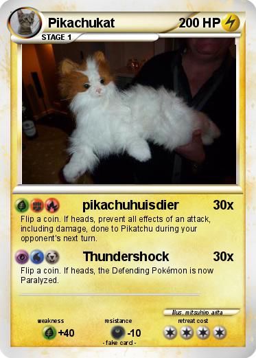 Pokemon Pikachukat
