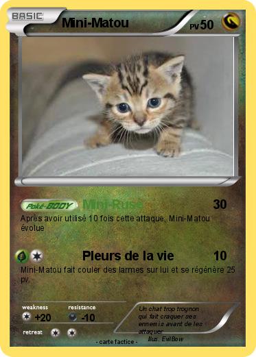 Pokemon Mini-Matou