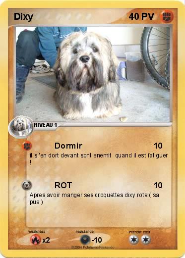 Pokemon Dixy